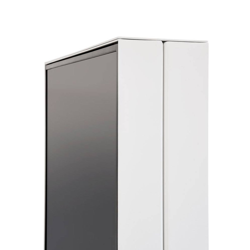 Smart Line Tosidig Digital Totem med 43" eller 50" Samsung skjerm.
